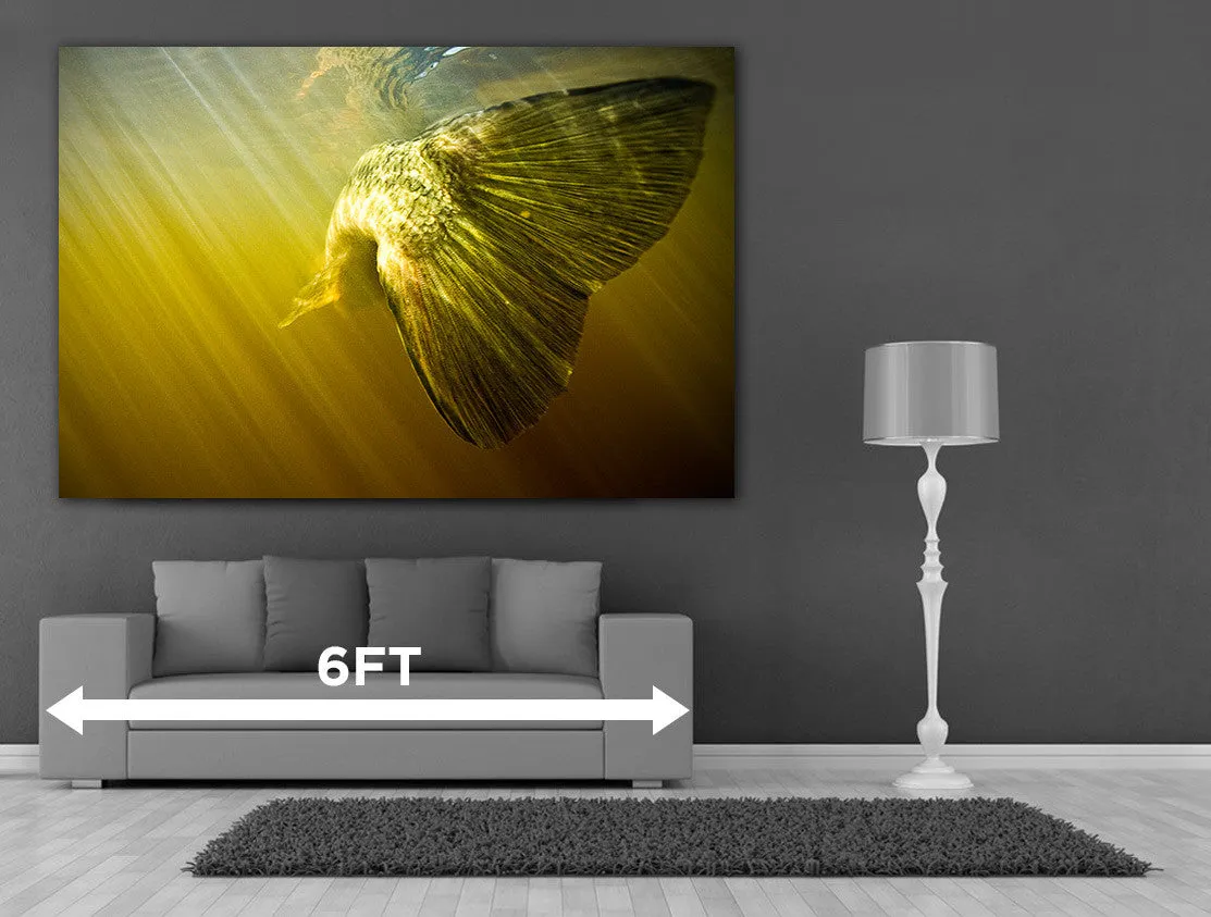 108x54 Custom Canvas