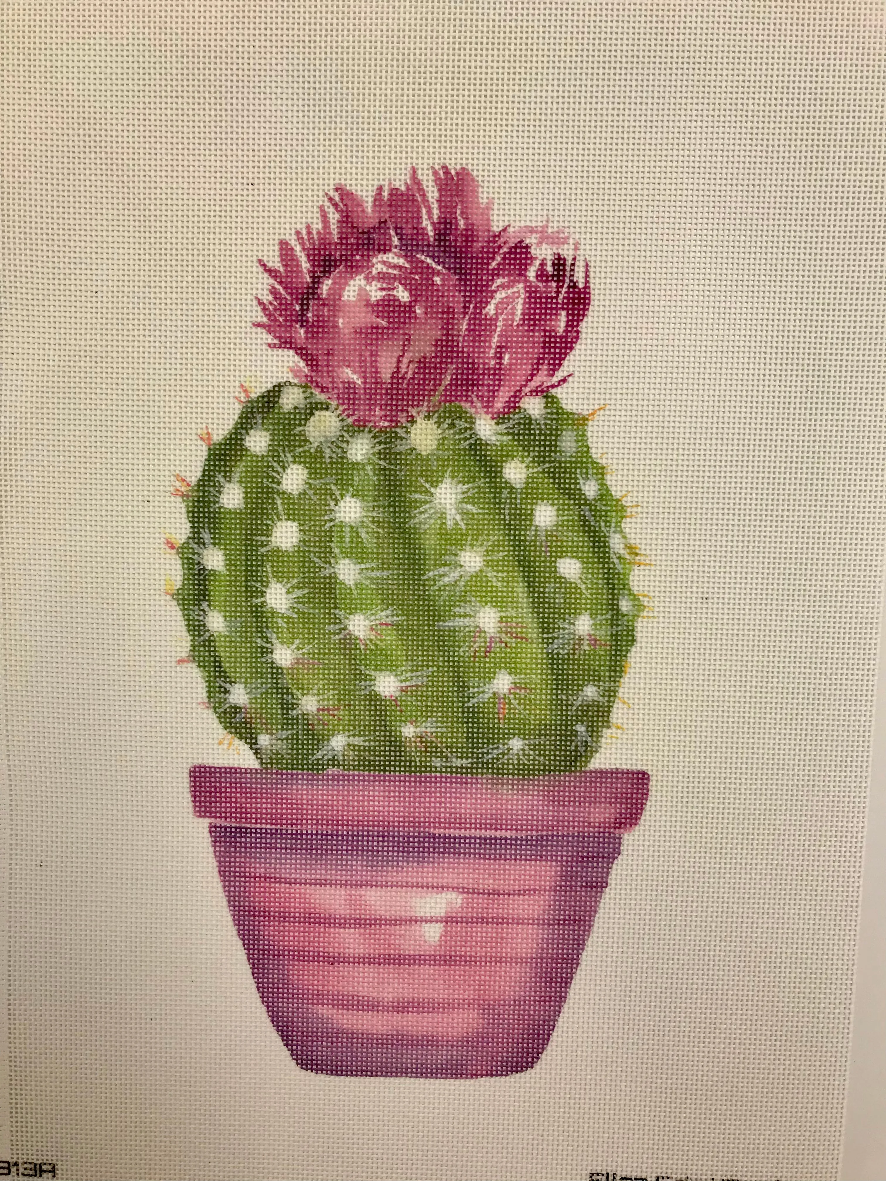 ECT813A Purple Cactus