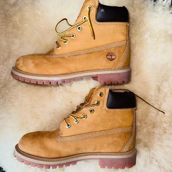 EUC Youth Size 3M Timberland Kids 6” 200g Waterproof Boots