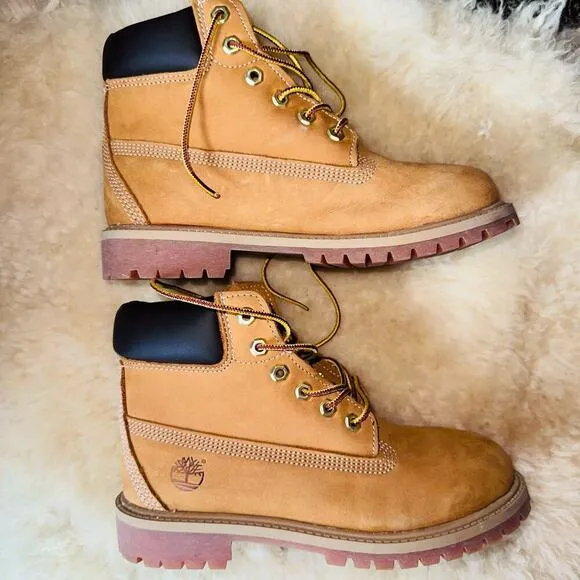 EUC Youth Size 3M Timberland Kids 6” 200g Waterproof Boots
