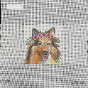 IN072 Shetland Sheepdog