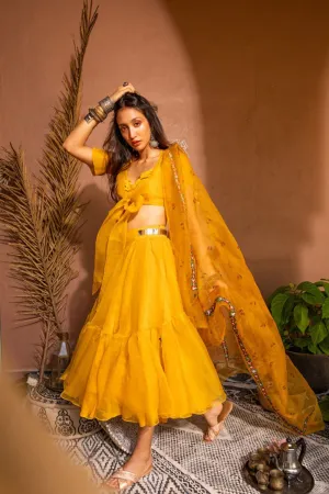 Mango and cherries bow crop and skirt set