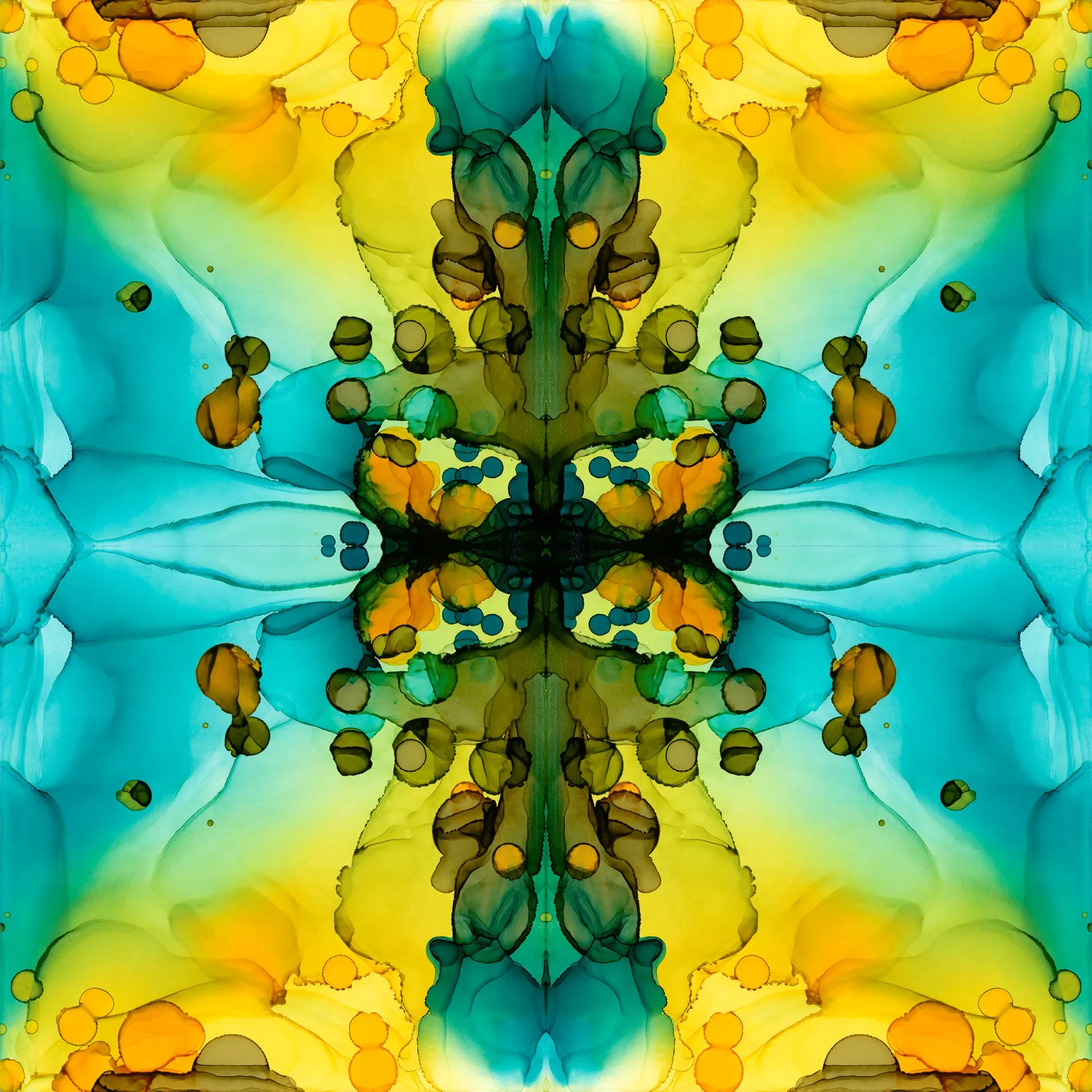 "Kaleidoscope II"