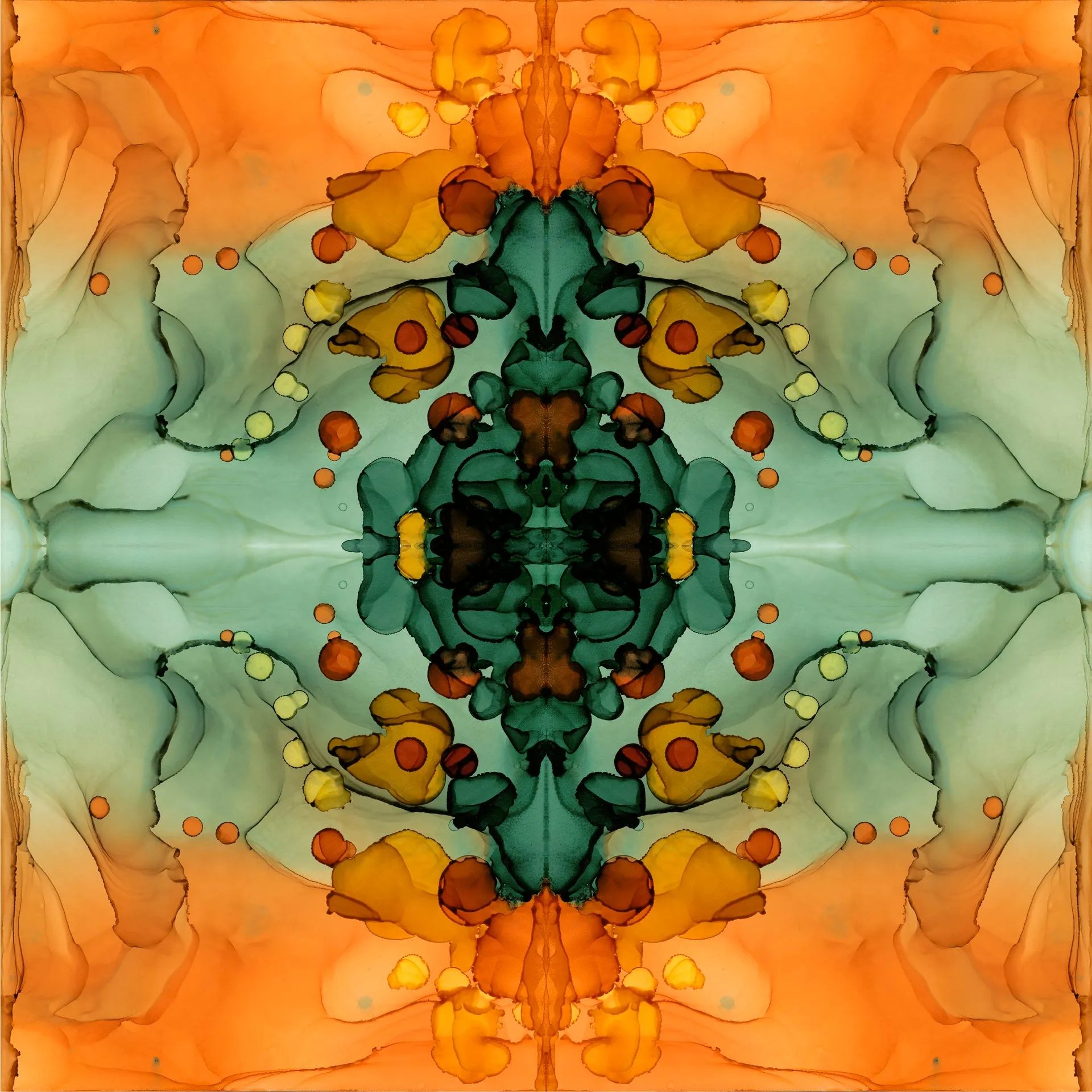 "Kaleidoscope V"