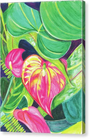 "Pink Anthurium" Popular Tropical Flower in Hawaii - Canvas Print