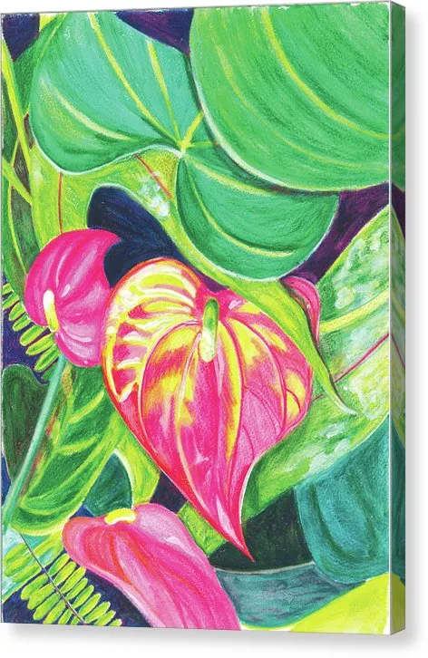 "Pink Anthurium" Popular Tropical Flower in Hawaii - Canvas Print
