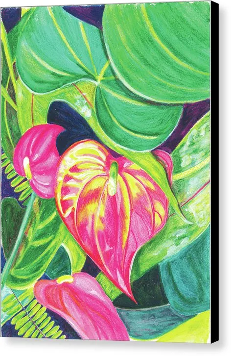 "Pink Anthurium" Popular Tropical Flower in Hawaii - Canvas Print