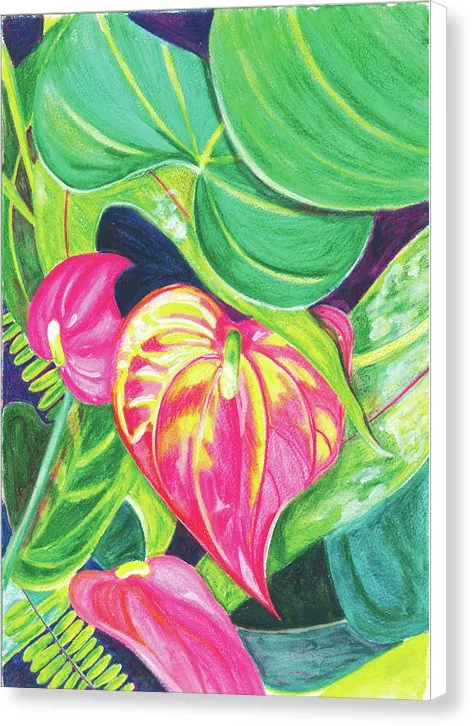 "Pink Anthurium" Popular Tropical Flower in Hawaii - Canvas Print